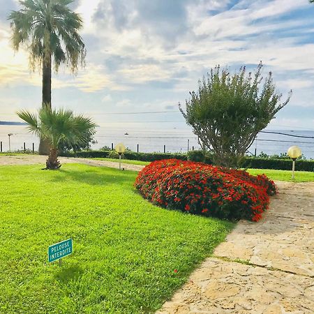 Studio Chateau De La Mer Канны Экстерьер фото